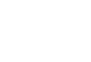 Leashes To Leads Pet Care, LLC
