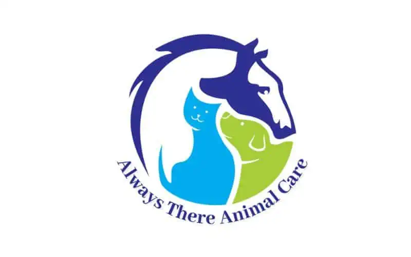 Always-there-animal-care
